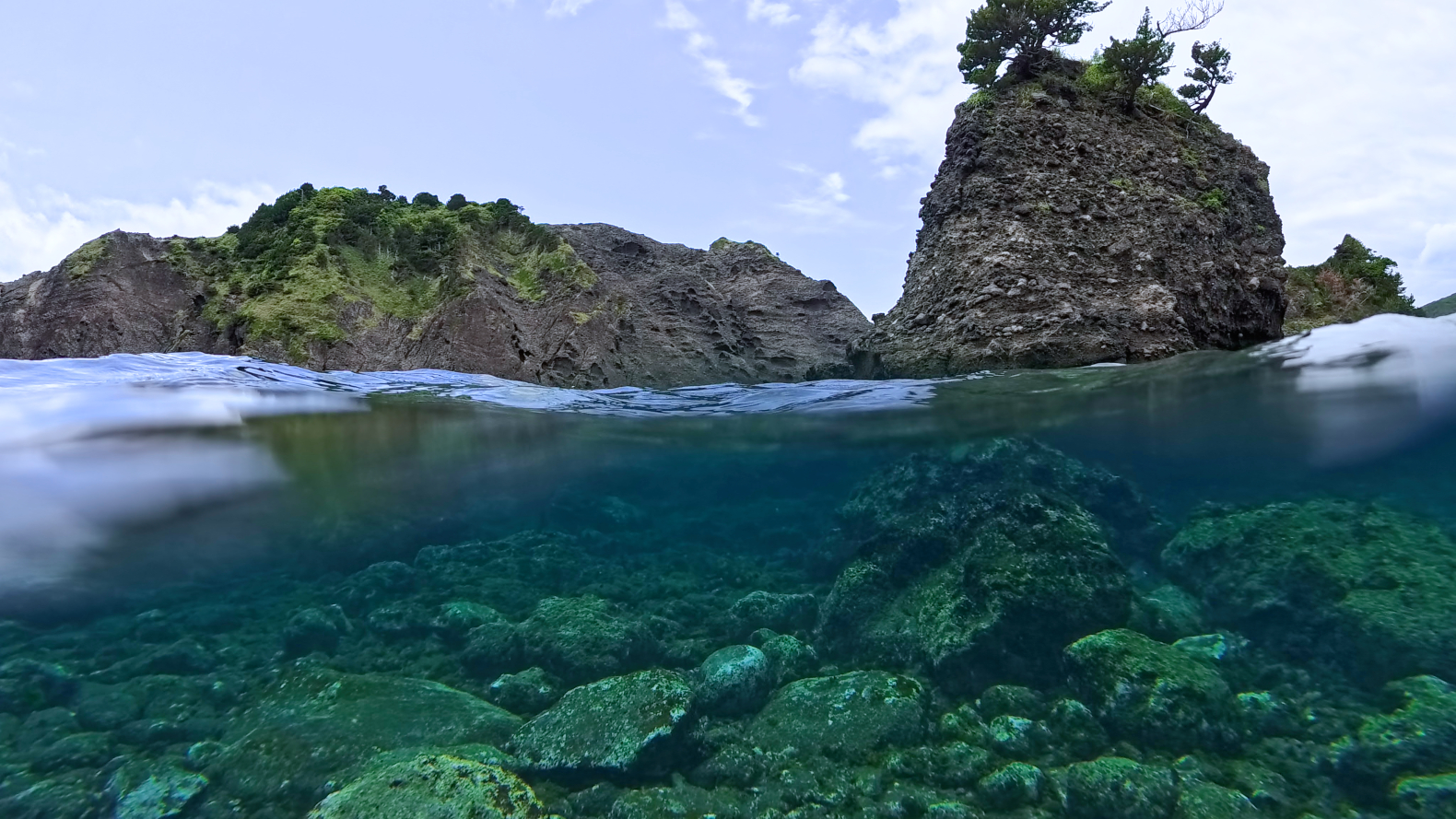 【ヒリゾ浜】海中清掃の様子【南伊豆】