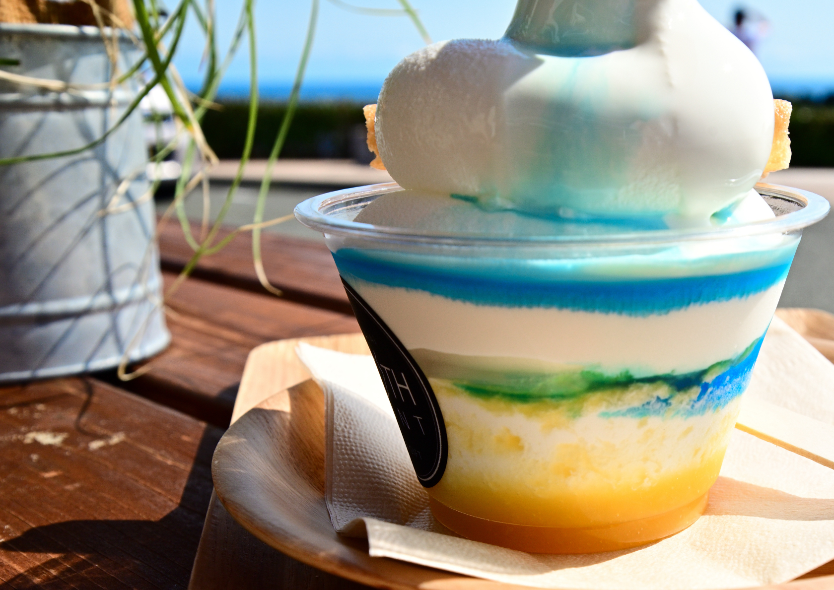 【南伊豆】あいあい岬＆AiAi South Point Cafe&Gift【夕陽の名所】