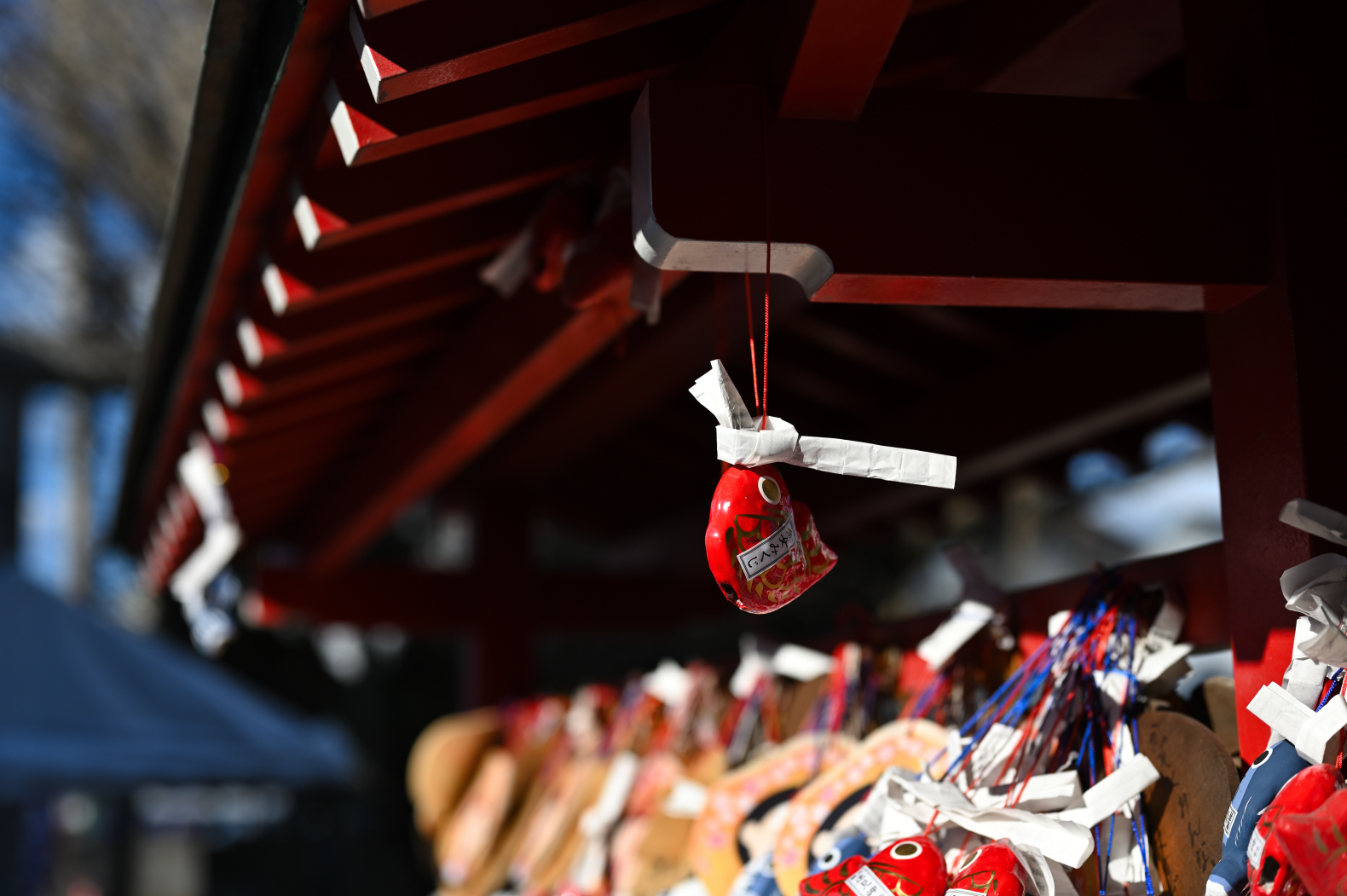 【勝浦市】勝浦市街散策